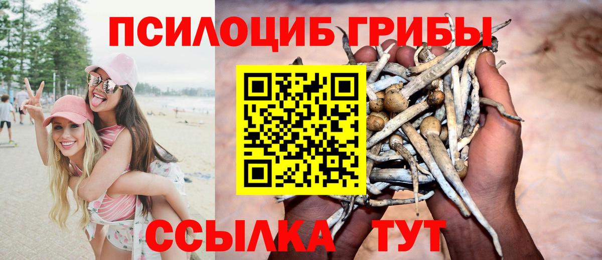 Краснокаменск  где купить наркотик  Вход с VPN  Псилоцибиновые грибы мухоморы  Псилоцибиновые грибы ЛСД 